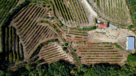 Quinta em castelo de paiva