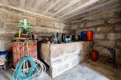 Quinta em castelo de paiva