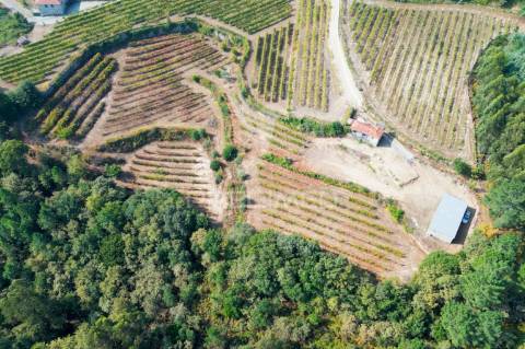 Quinta em castelo de paiva