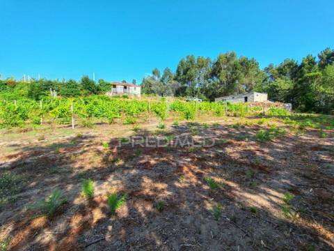 Quinta em castelo de paiva