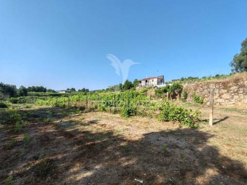 Quinta em castelo de paiva