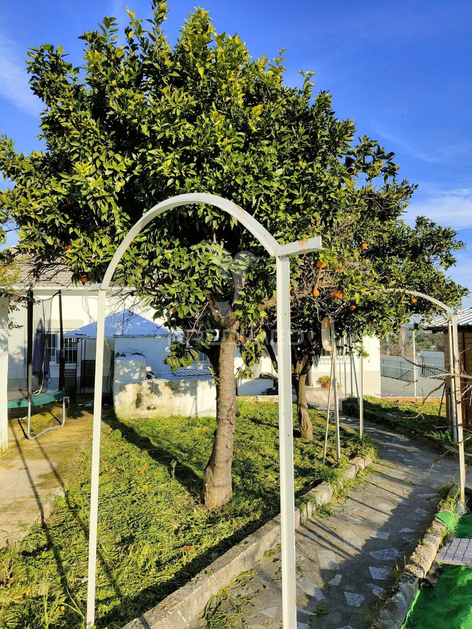 Moradia t3 com anexos