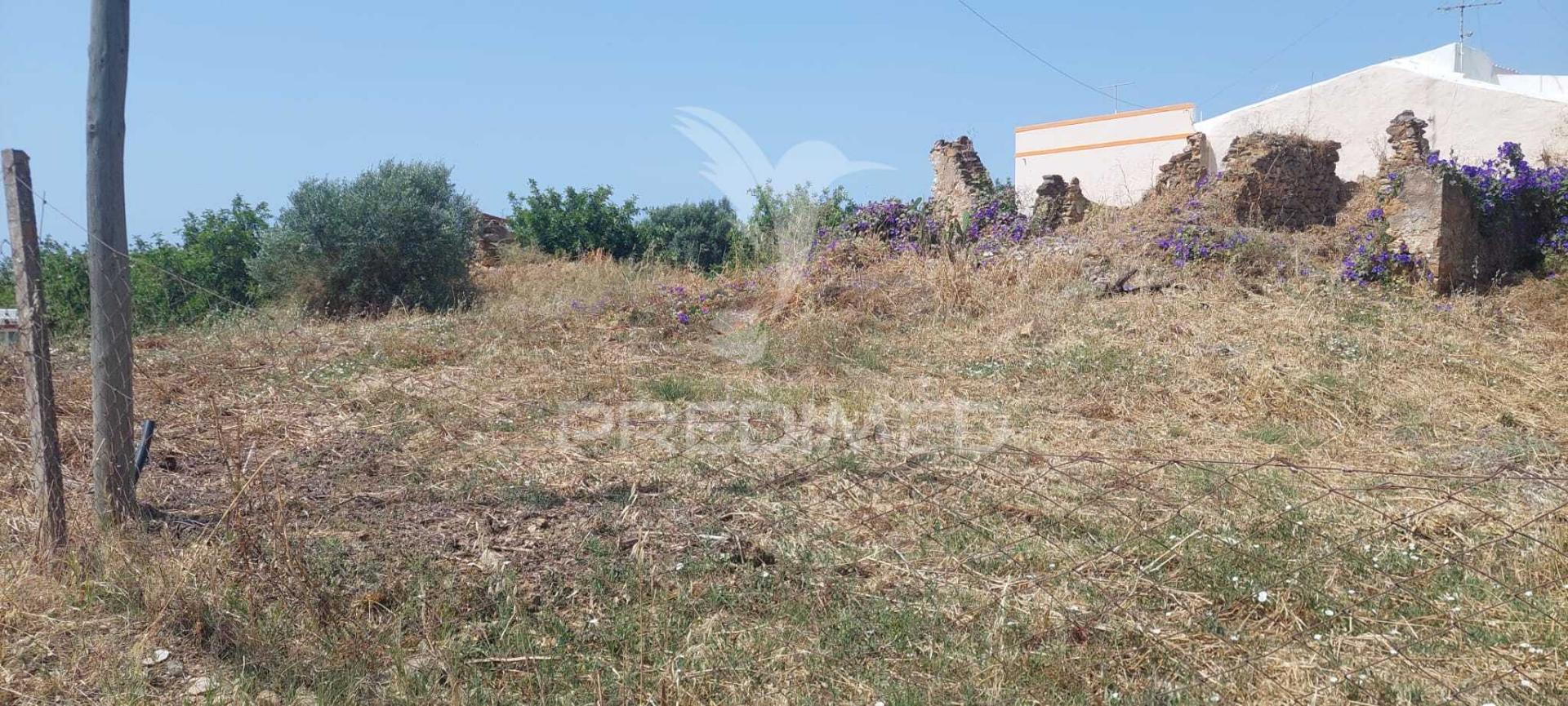 Ruína com terreno junto da ria formosa