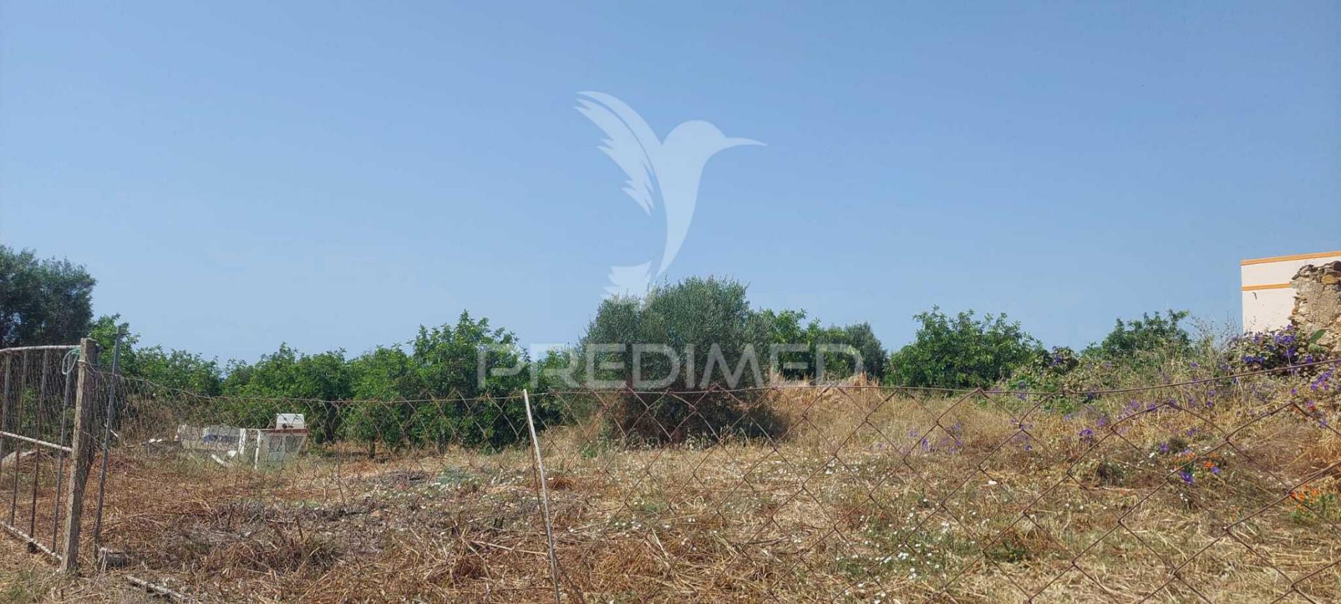 Ruína com terreno junto da ria formosa