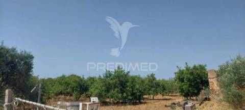 Ruína com terreno junto da ria formosa