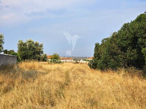 Moradia típica alentejana com terreno