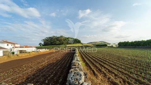 Moradia com ampla área