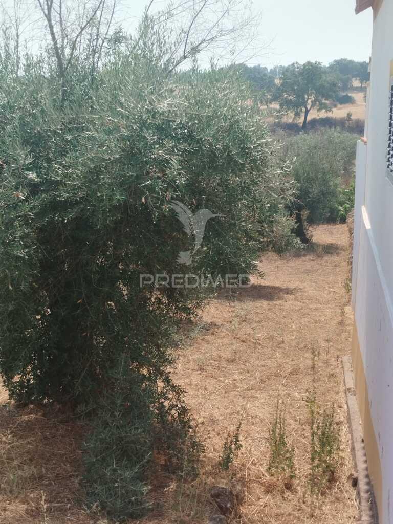 Terreno urbano com possibilidade de poder construir.