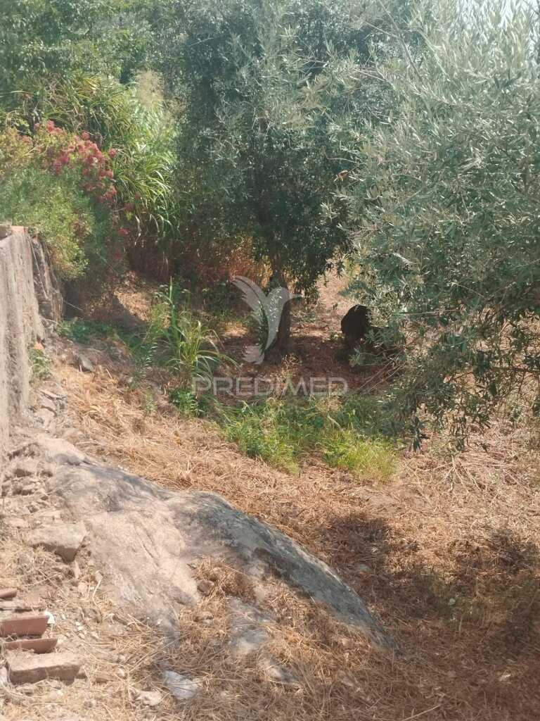 Terreno urbano com possibilidade de poder construir.