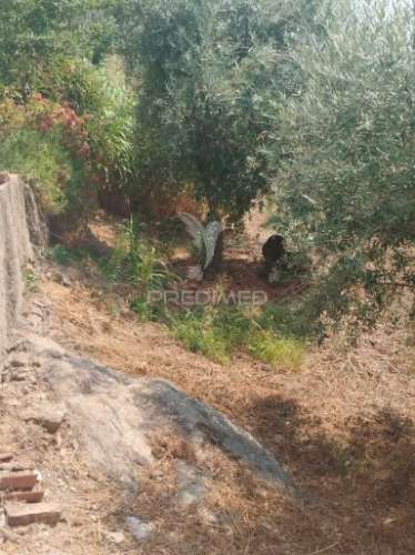 Terreno urbano com possibilidade de poder construir.