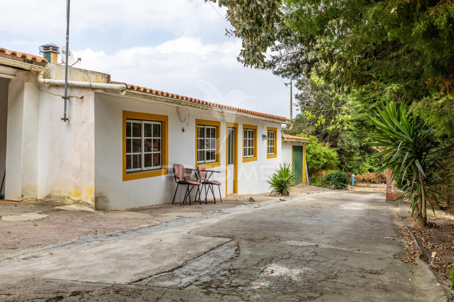 Quinta em alcobaça