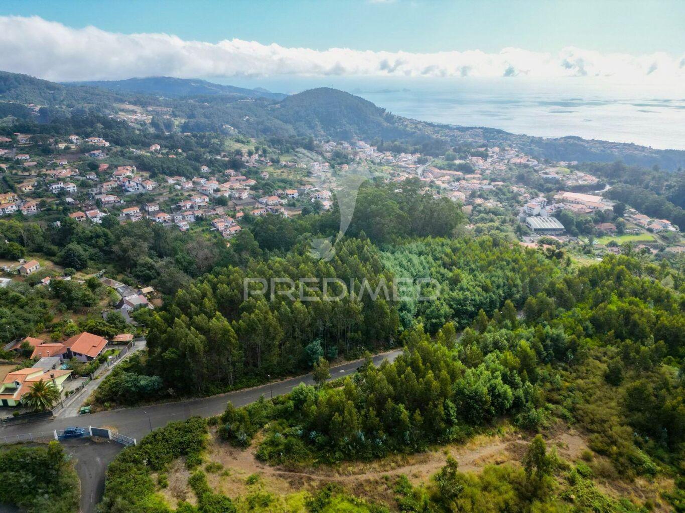 Terreno loteado na camacha – 5 lotes com possibilidade de construir até 10 moradias