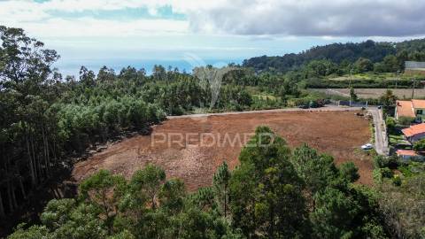 Terreno loteado na camacha – 5 lotes com possibilidade de construir até 10 moradias