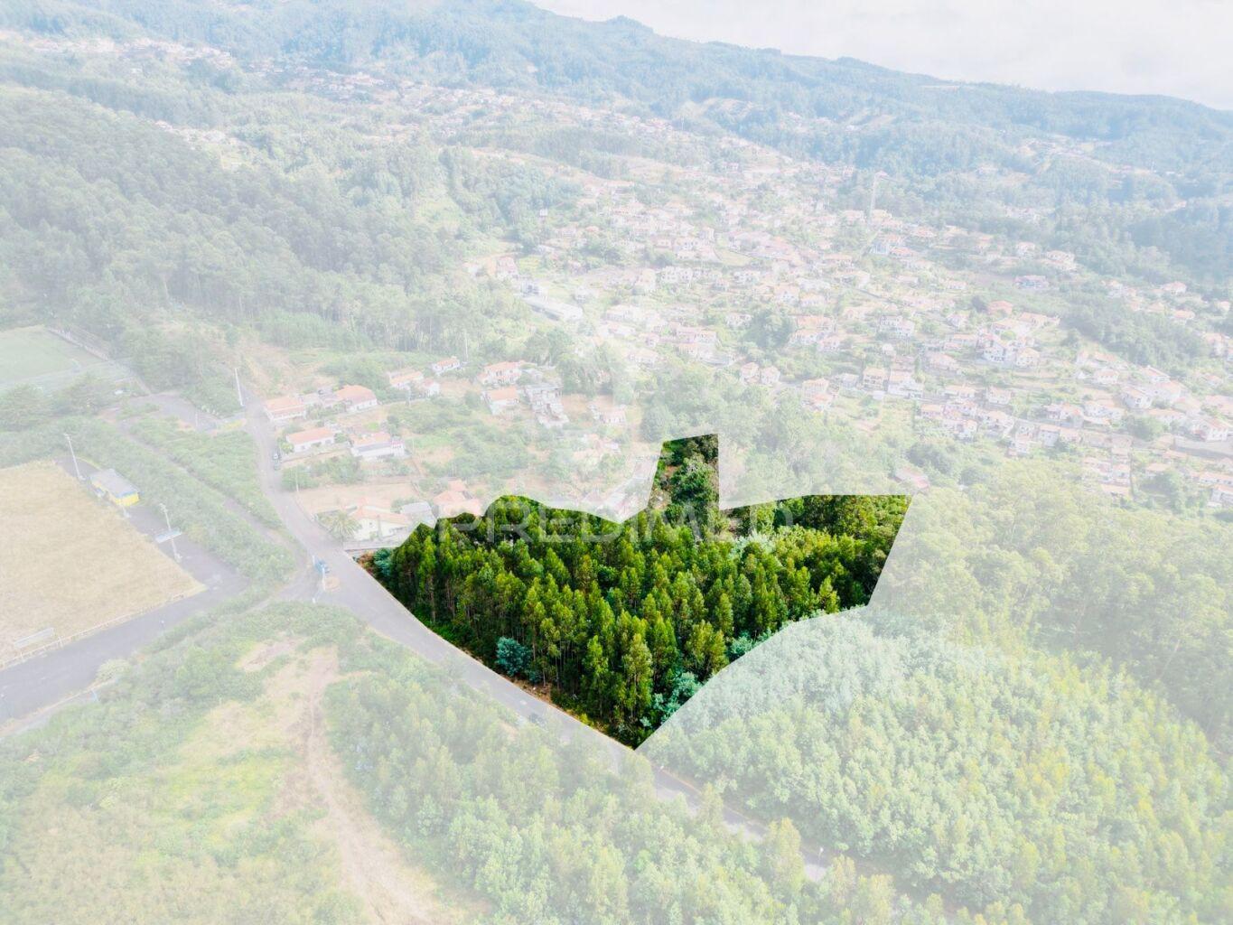 Terreno loteado na camacha – 5 lotes com possibilidade de construir até 10 moradias