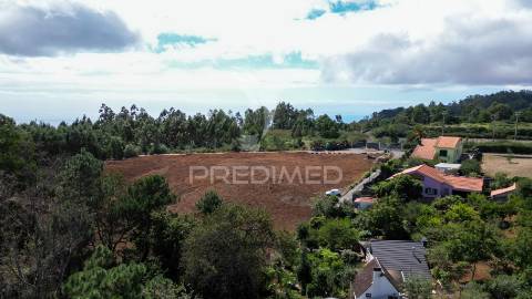 Terreno loteado na camacha – 5 lotes com possibilidade de construir até 10 moradias