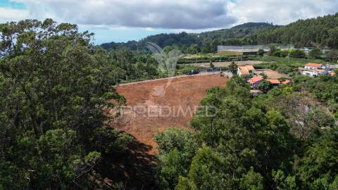Terreno loteado na camacha – 5 lotes com possibilidade de construir até 10 moradias