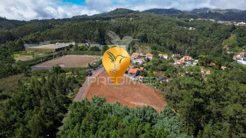 Terreno loteado na camacha – 5 lotes com possibilidade de construir até 10 moradias