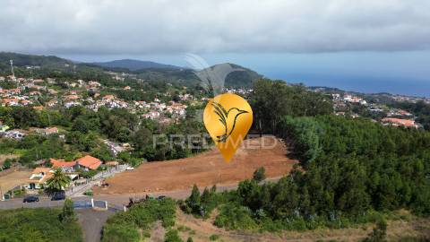 Terreno loteado na camacha – 5 lotes com possibilidade de construir até 10 moradias