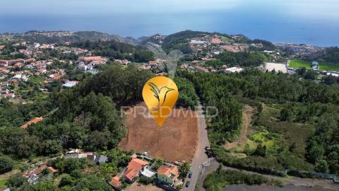 Terreno loteado na camacha – 5 lotes com possibilidade de construir até 10 moradias