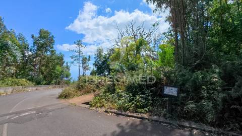 Terreno loteado na camacha – 5 lotes com possibilidade de construir até 10 moradias