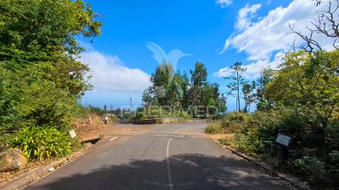 Terreno loteado na camacha – 5 lotes com possibilidade de construir até 10 moradias