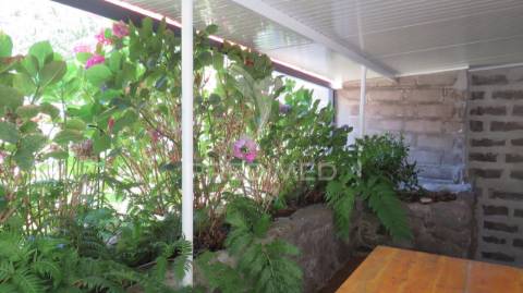 Moradia recuperada t3 e palheiro com 512m2 de terreno