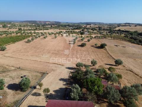 Moradia t4+1 - ribeira da pipa, santarém