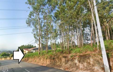 Invista em terreno com área construível em zona rural com bons acessos