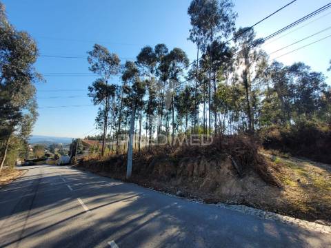 Invista em terreno com área construível em zona rural com bons acessos