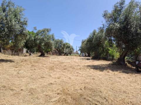 Moradia para recuperação.