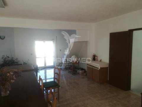 Quinta com casa e terrenos