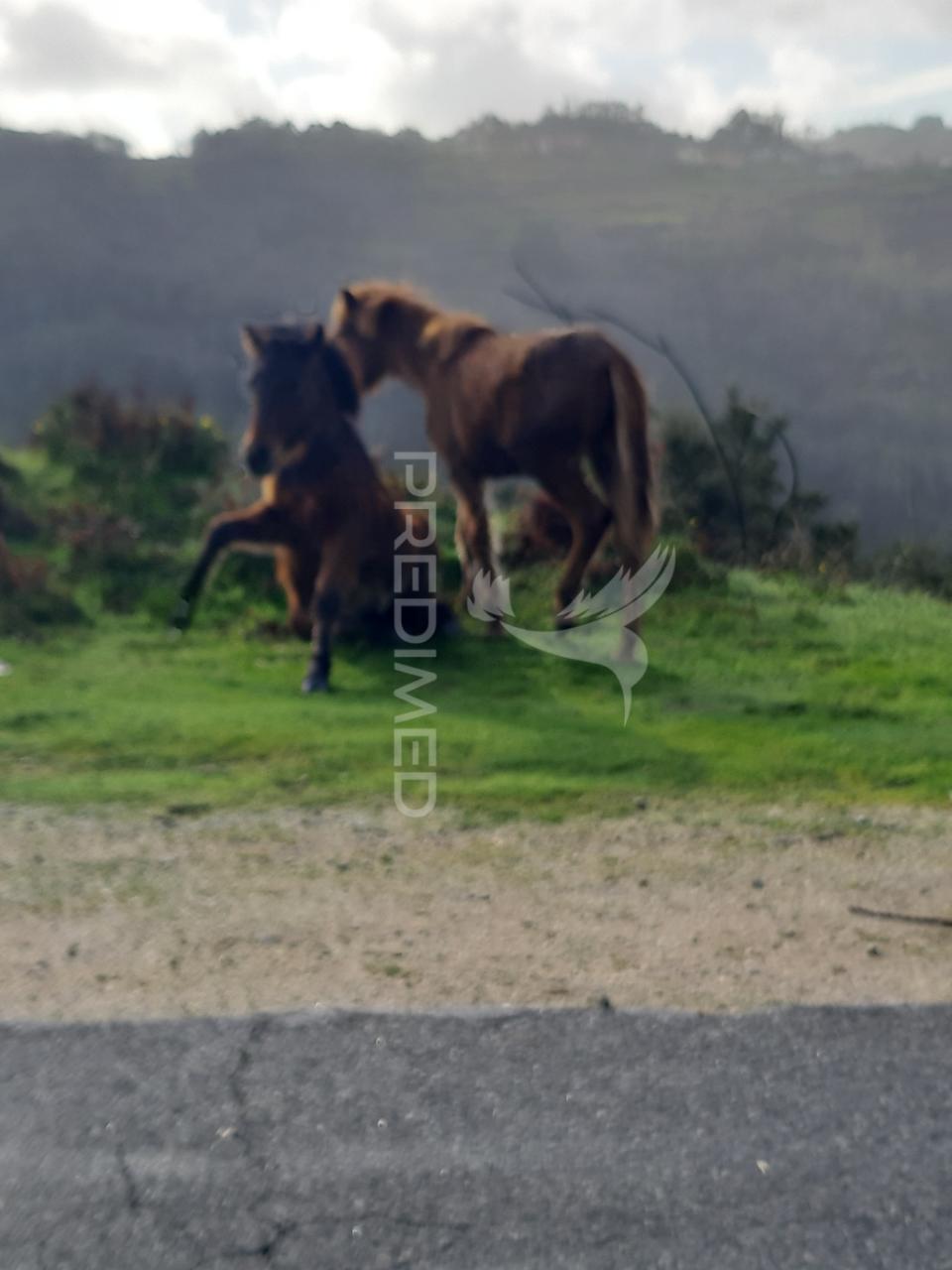 Terreno com projeto aprovado para varias casas em vila verde