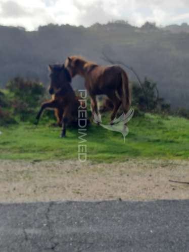 Terreno com projeto aprovado para varias casas em vila verde