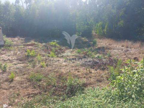 Ruina com excelente terreno