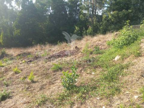 Ruina com excelente terreno