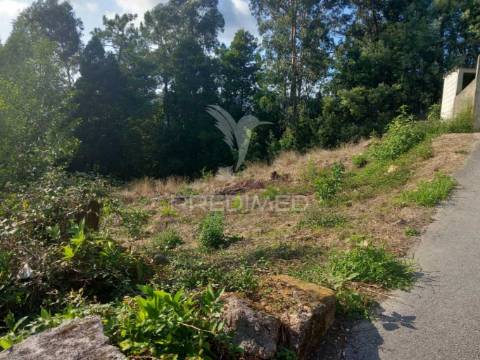 Ruina com excelente terreno