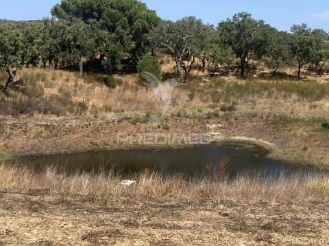 Herdade com 100ha em santiago do cacém