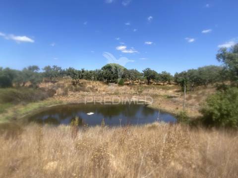 Herdade com 100ha em santiago do cacém
