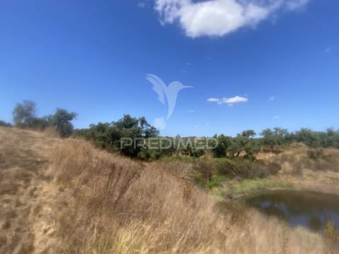 Herdade com 100ha em santiago do cacém