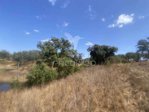 Herdade com 100ha em santiago do cacém