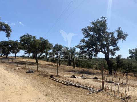 Herdade com 100ha em santiago do cacém