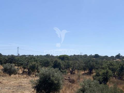 Herdade com 100ha em santiago do cacém