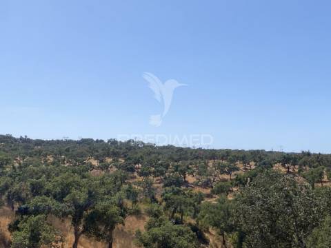 Herdade com 100ha em santiago do cacém