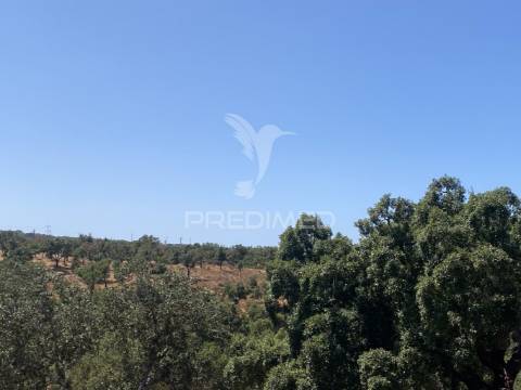 Herdade com 100ha em santiago do cacém