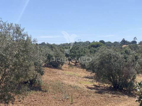 Herdade com 100ha em santiago do cacém