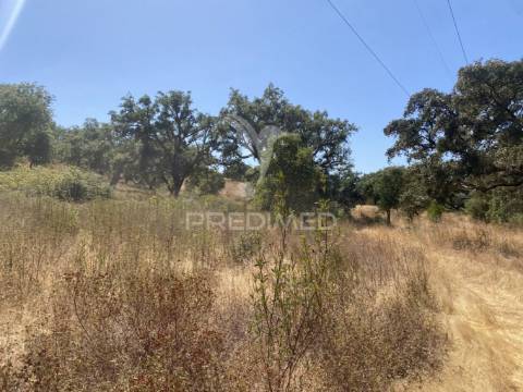 Herdade com 100ha em santiago do cacém