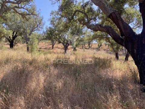 Herdade com 100ha em santiago do cacém