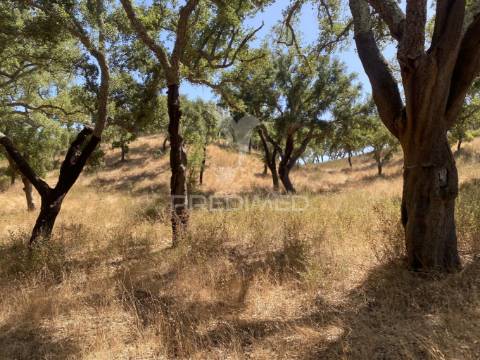 Herdade com 100ha em santiago do cacém