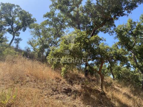Herdade com 100ha em santiago do cacém