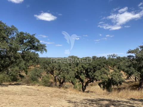 Herdade com 100ha em santiago do cacém